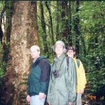 Jonathan, Ben, Viveca rainforest
