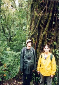 Ben, Viveca, strangler fig