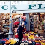 Tip-toeing through tulip market, Amsterdam