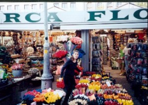 Tip-toeing through tulip market, Amsterdam