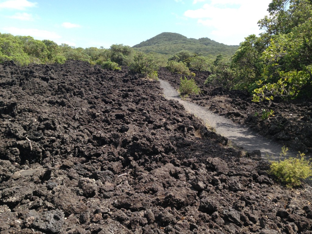 IMG_3568 Lava, Rangitoto Island, NZ