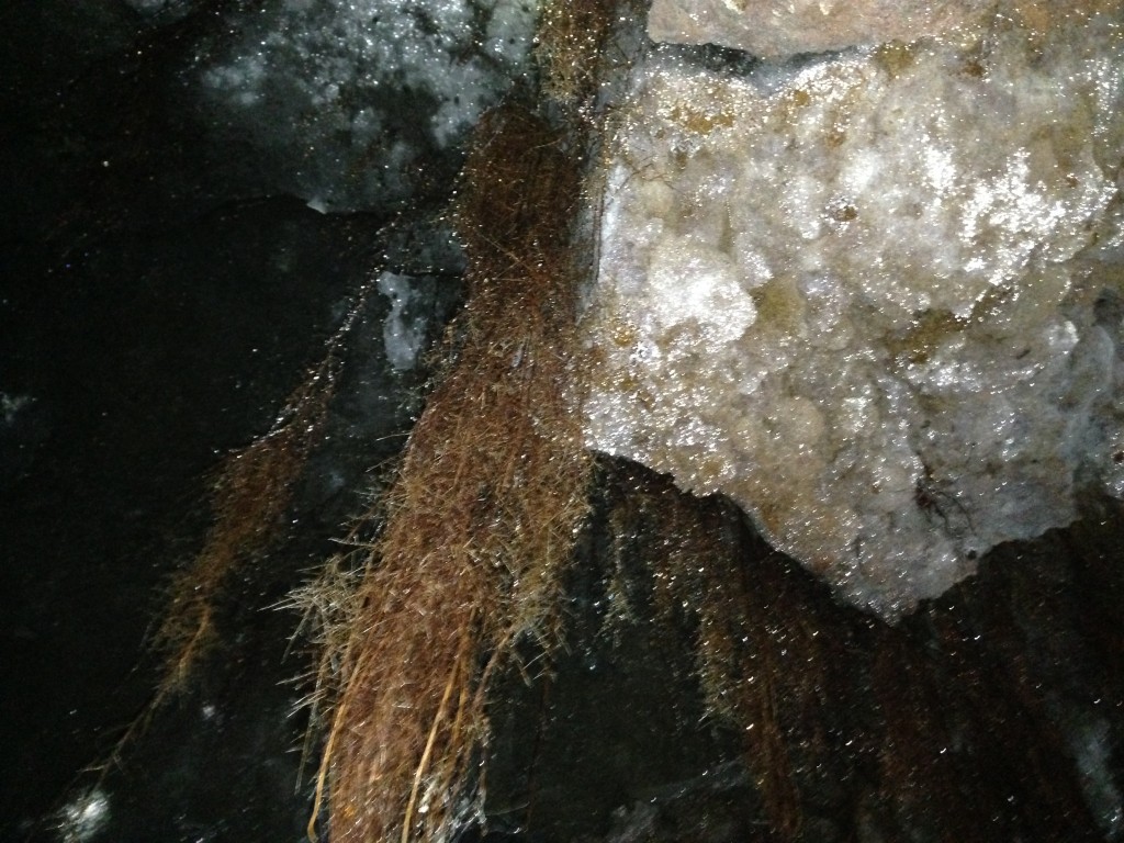 IMG_3577 Lava cave interior, Rangitoto Island, NZ