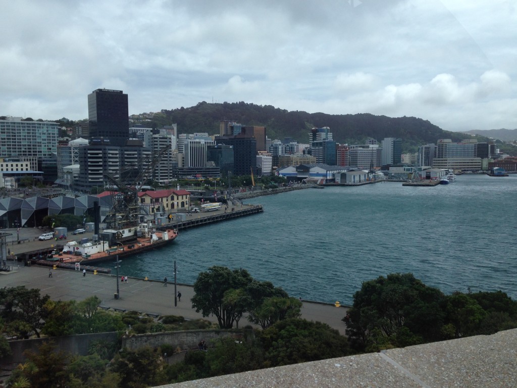 IMG_3645 View of Wellington from Te Papa