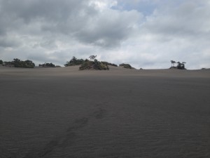 Ash plain Ash plain